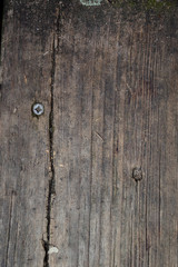 Terracotta velvet fabric texture