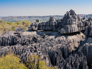 Impressive karst limestone formations in Tsingy de Bemaraha National Park, Madagascar