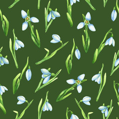 Watercolor snowdrop pattern. Seamless pattern with hand drawn snowdrops on green background. First spring flowers illustration. Floral background. Easter pattern. 