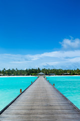 Fototapeta premium beach and tropical sea . nature background