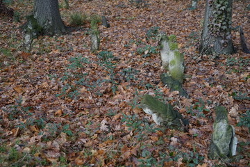 Alte Halter für Grabsteine auf dem Jüdischen Friedhof Berlin-Weißensee