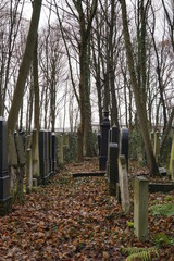 Grabreihen auf dem J&uuml;dischen Friedhof Berlin-Wei&szlig;ensee