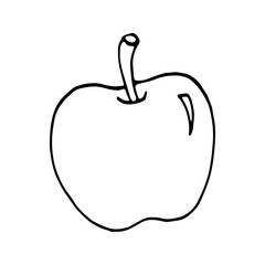 Single hand drawn apple for greeting cards, posters, recipe, culinary design. Isolated on white background. Doodle vector illustration.