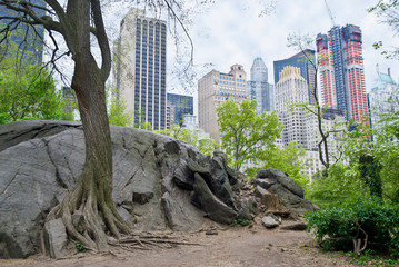 Rock View Central Park