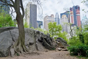 Peel and stick wallpaper Central Park Rock View Central Park