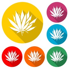 Medical marijuana or cannabis leaf icon isolated with long shadow