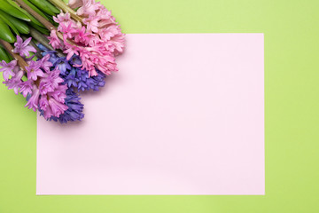 Flowers composition with hyacinths and pink blank paper. Spring flowers background. Easter concept. Flat lay, moke up