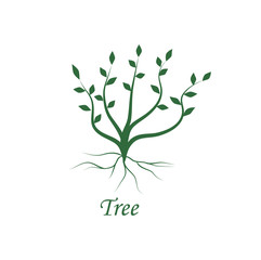 Vector illustration of tree and leaf