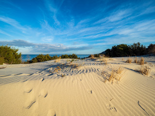Fototapeta na wymiar The beautiful dunes of Capo Comino