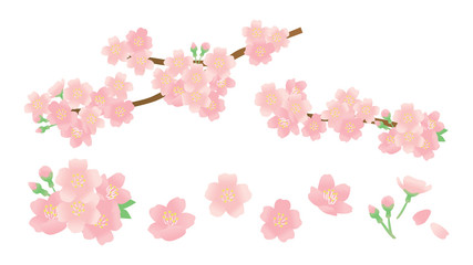桜の花びらのイラストセット