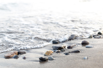 Wet pebbles on seashore in sun light. Sea wave on seacoast with round stones. 