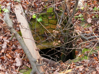 underground ancient passage of red brick overgrown with green moss.
