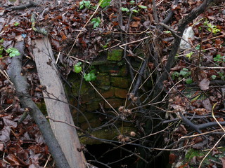 underground ancient passage of red brick overgrown with green moss.