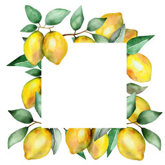 Watercolor hand painted nature squared border frame with yellow citrus fruit lemon, brown branches and green leaves on the white background for invitations and greeting cards with the space for text