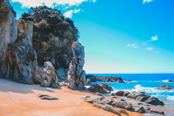 Anapai Beach at Abel Tasman National Park, South Island, New Zealand