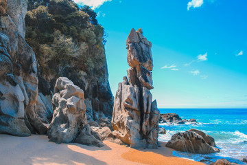 Anapai Beach at Abel Tasman National Park, South Island, New Zealand