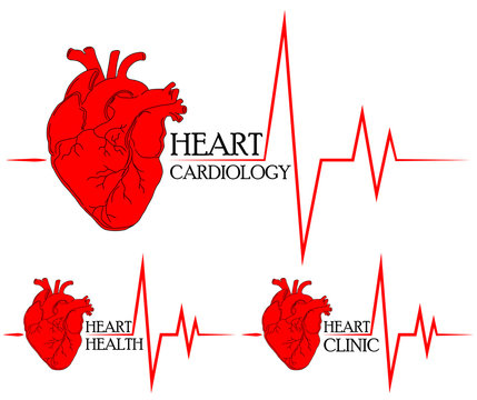 Anatomical drawing of the heart. Background for brochures, booklets, flyers. Set of red hearts icons for heart clinic, heart health center and heart cardiology.