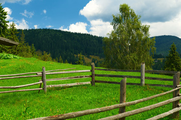 Fototapeta na wymiar wooden fence on a ranch closeup, beautiful summer landscape, spruces on hills, cloudy sky and wildflowers - travel destination scenic, carpathian mountains