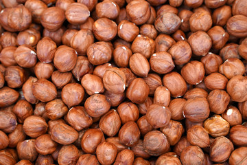  hazelnut for food textures, harvest                              