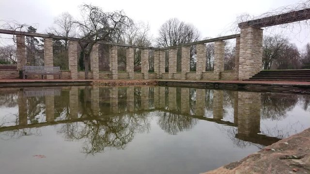 Water garden in the park. Reflections of trees