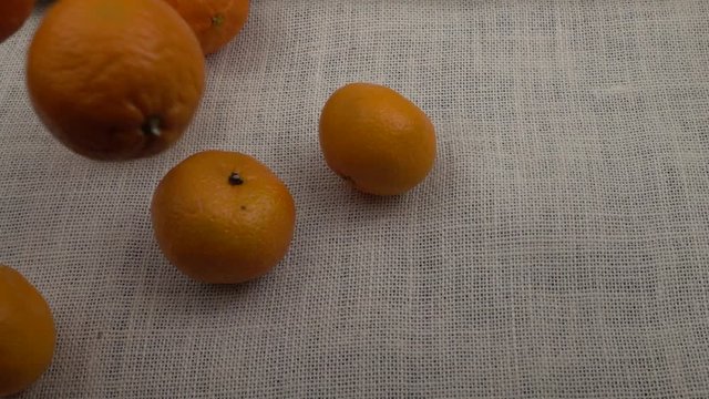 Ripe tangerine fruit slowly fall onto white burlap, background, slow motion