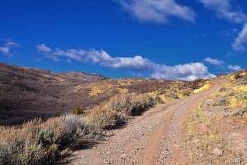 Fototapeta na wymiar Hiking Trails in Oquirrh, Wasatch, Rocky Mountains in Utah Late Fall with leaves. Backpacking, biking, horseback through trees in the Yellow Fork and Rose Canyon by Salt Lake City. United States of Am