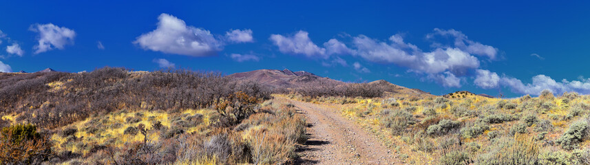 Hiking Trails in Oquirrh, Wasatch, Rocky Mountains in Utah Late Fall with leaves. Backpacking, biking, horseback through trees in the Yellow Fork and Rose Canyon by Salt Lake City. United States of Am