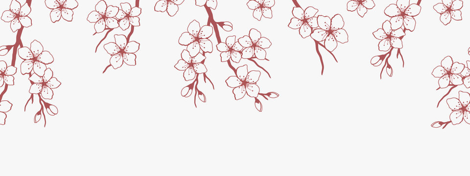 Seamless border with blossoming branches of cherry. Red silhouette of a cherry branch with flowers on a white background. Spring floral background. Vector illustration
