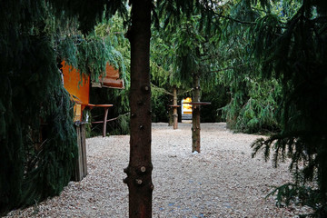 Goslar Blick in den Weihnachtswald