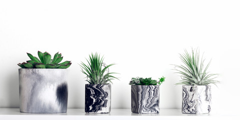 Collection of marbled geometric succulent planters with beautiful tiny succulent plants on white shelf against white wall. Lifestyle home decoration, banner size