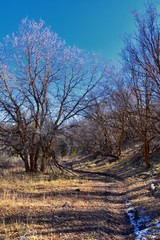 Hiking Trails in Oquirrh, Wasatch, Rocky Mountains in Utah Late Fall with leaves. Backpacking, biking, horseback through trees in the Yellow Fork and Rose Canyon by Salt Lake City. United States of Am