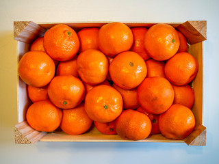 tangerine in a crate from top view