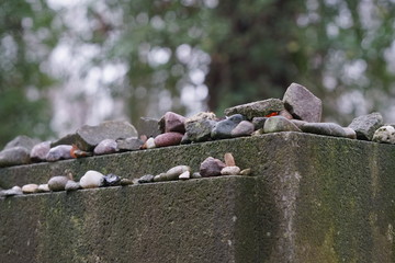 Zahlreiche kleine Steine auf einem Grabstein des Jüdischen Friedhofs Berlin-Weißensee