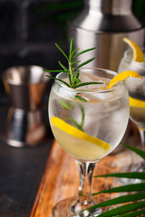 Gin tonic cocktail with lemon
