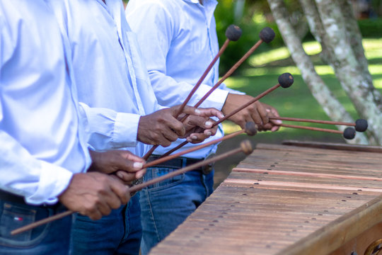 marimba mallets and wooden keyboard close up, partial of musician torsos on white shirts