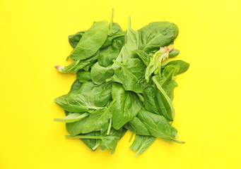 Fresh spinach on color background