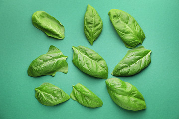 Fresh spinach on color background