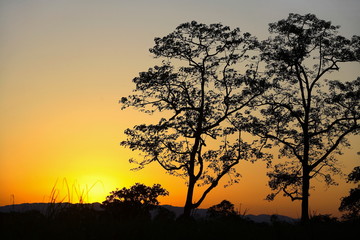 Fototapeta na wymiar Sunset at Kaziranga National Park, Assam, India