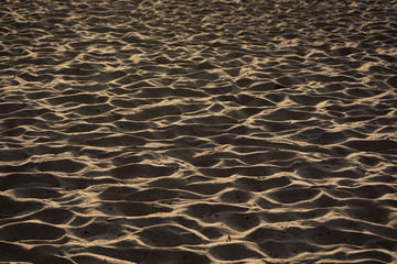 Sand Ripples