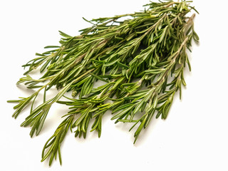Fragrant fresh rosemary on a white background.