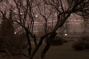 Old withered tree with raindrops on branches against the background of festive lights in the city at night, close-up in gray tones with a blurred background.