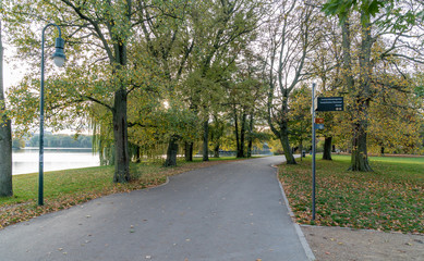 Fototapeta premium walking road in the park