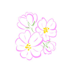 桜の花の手書きのイラスト