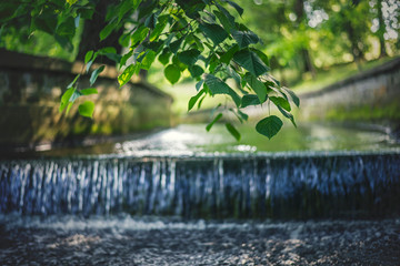 kaskada © wrzesientomek