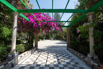 Beautiful green parks with ocean view in one of oldest city in Europe, Cadiz, Andalusia, Spain