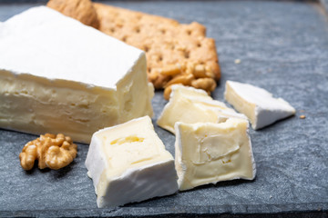 Cheese collection, piece of French brie cheese with white mold