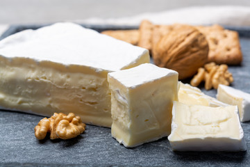 Cheese collection, piece of French brie cheese with white mold