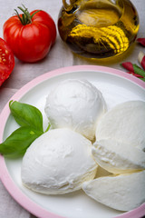Cheese collection, balls Italian soft white cheese mozzarella