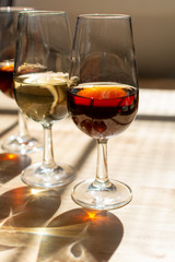 Sherry wine tasting, selection of different jerez fortified wines from dry to very sweet in glasses, Jerez de la Frontera, Andalusia, Spain
