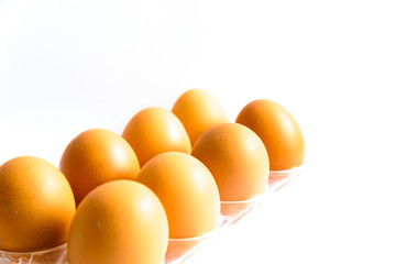 Studio shot raw brown eggs on plastic package isolated on white